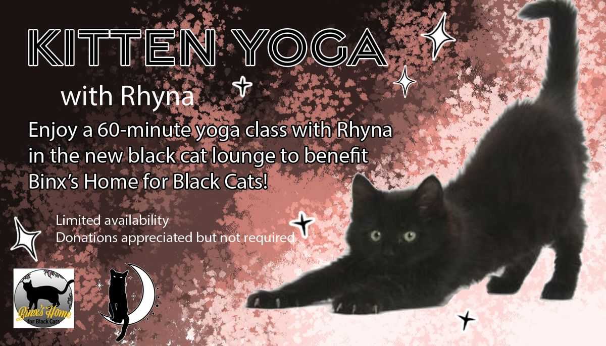 Kitten Yoga!