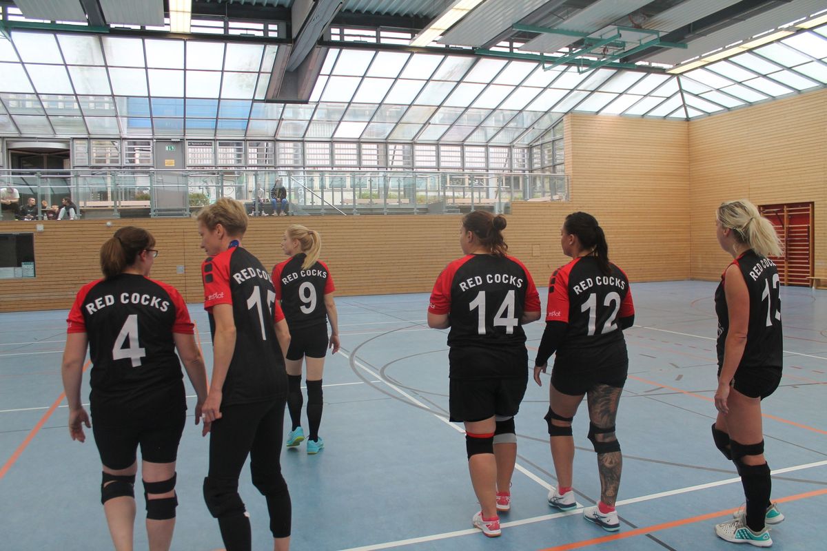 Volleyball Doppel-Heimspieltag Damen\/Herren