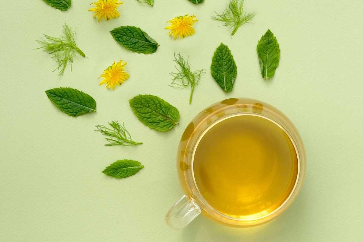Herbal tea tasting