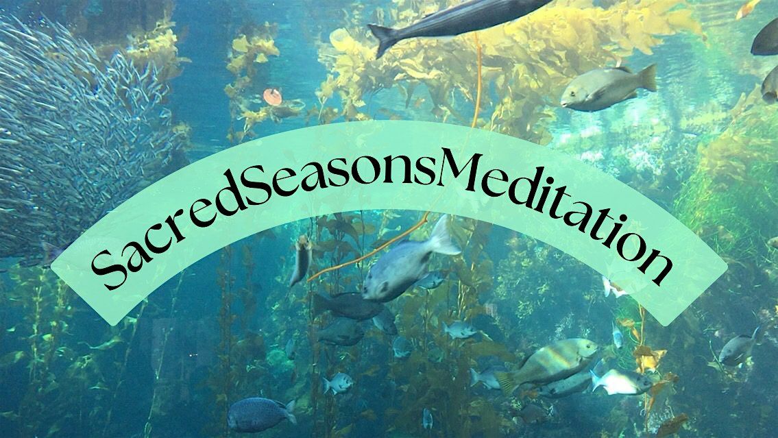 Sacred Seasons Meditation Workshop