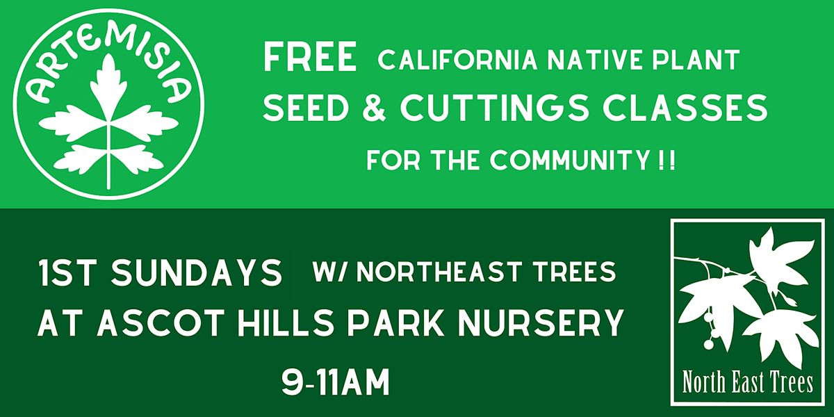 Ascot Hills Park 1st Sundays! Free Native Plant Seed & Propagation Classes