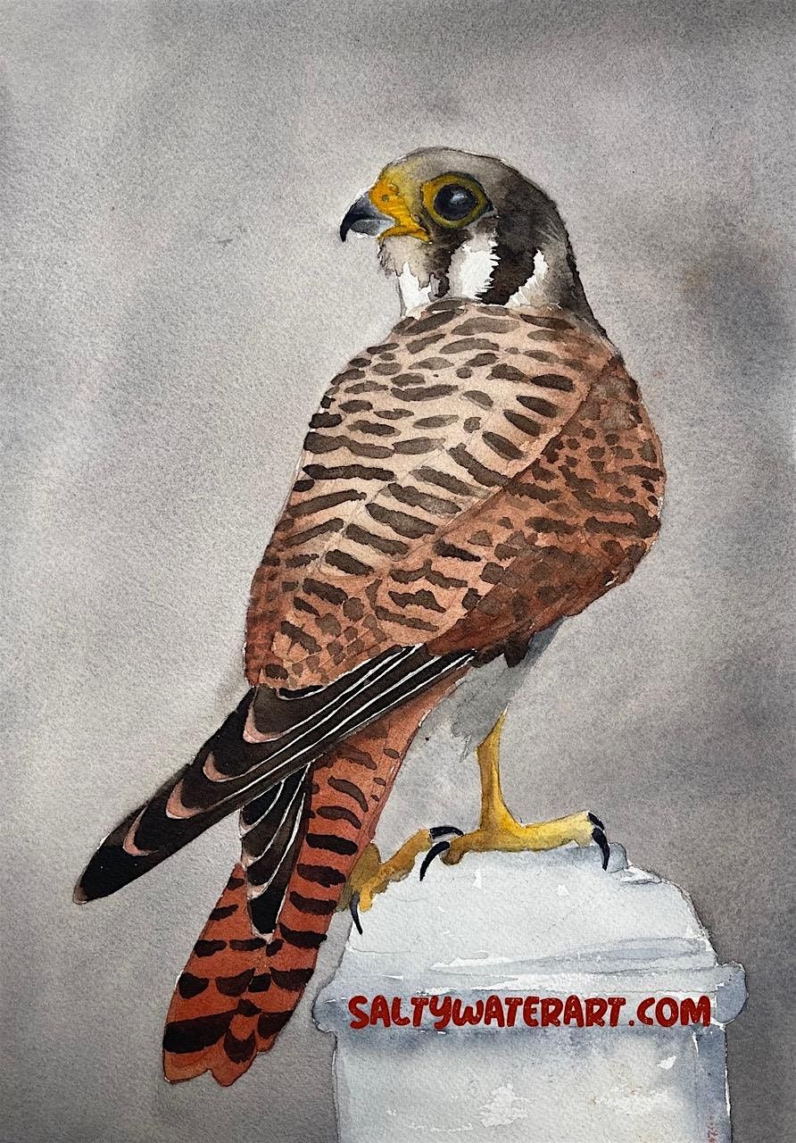 Birds in Watercolor: American Kestrel with Ronna Fujisawa