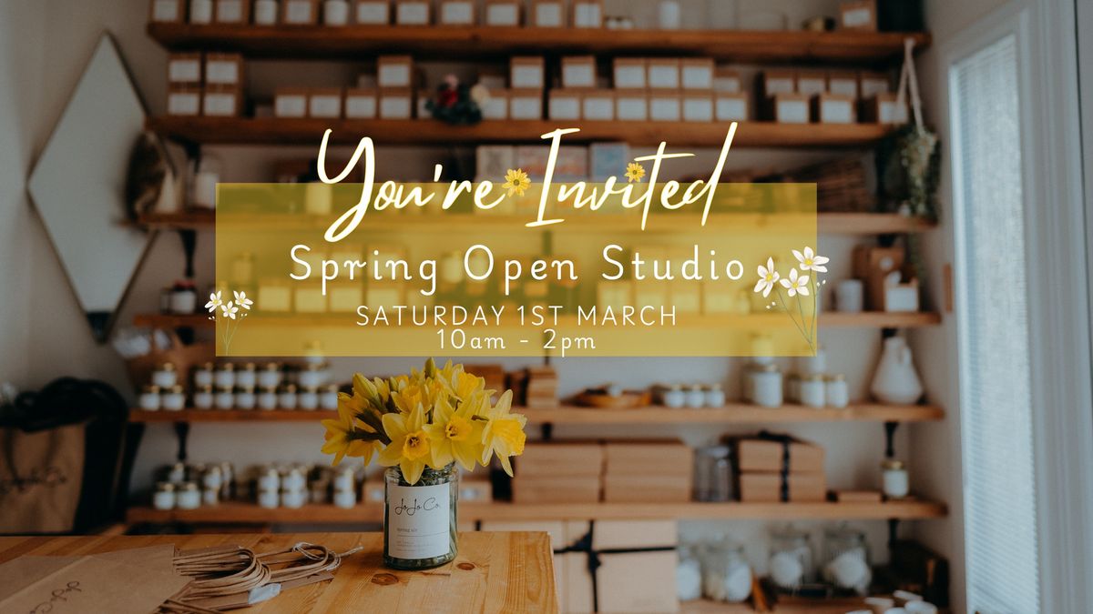 Spring Open Studio