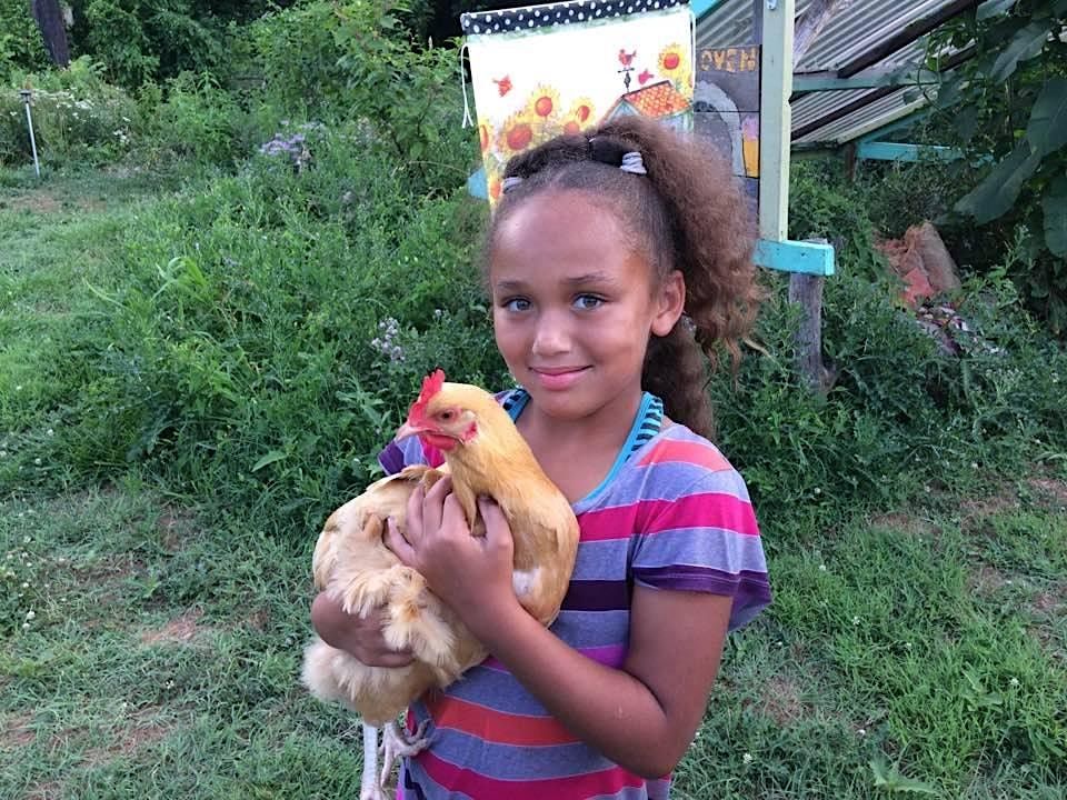 Backyard Chickens 101