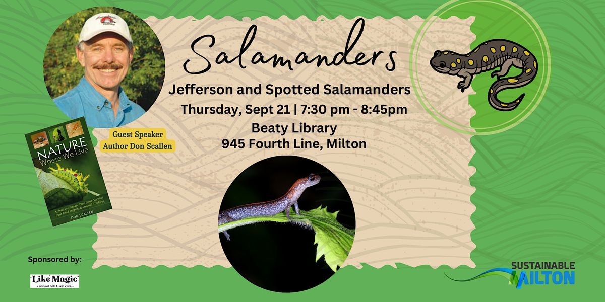 Salamanders