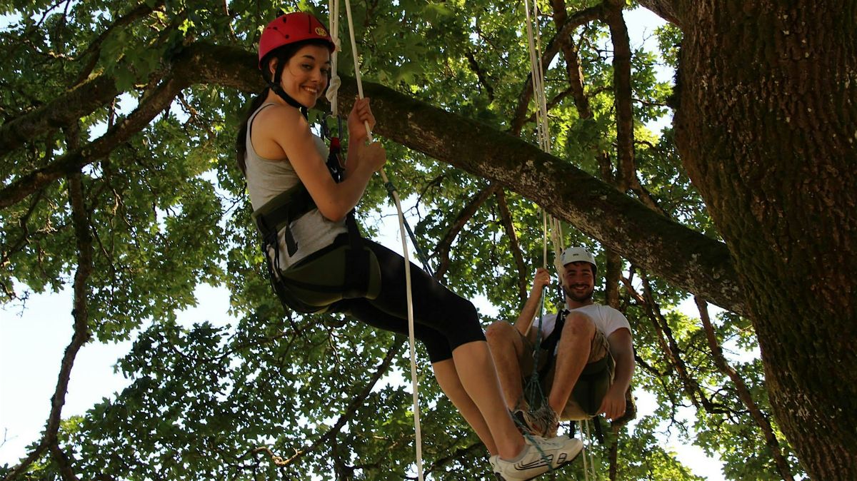 Experience the Canopy with Tree Time