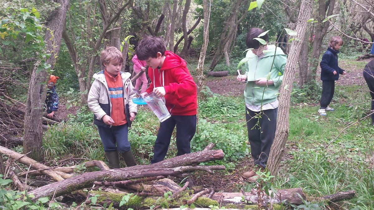 Young Rangers - Windsor Great Park, Saturday 19 October