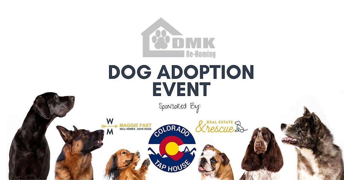 Dog Adoption Event & Fundraiser for DMK Re-Homing