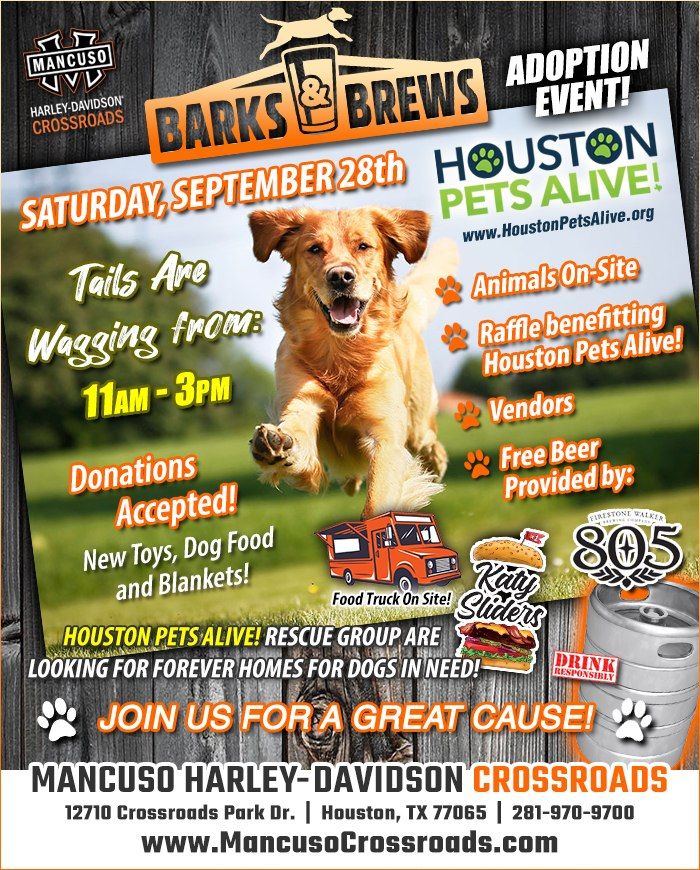 Barks & Brews