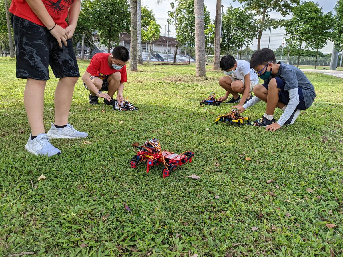 Walking Robot Bootcamp