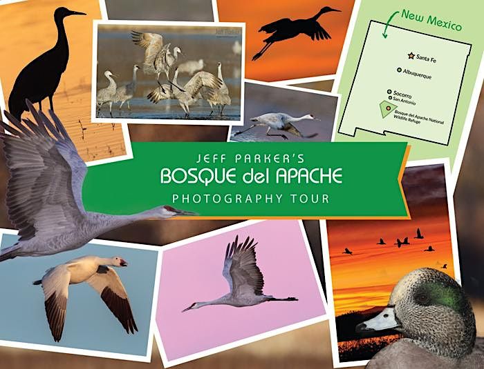 Bosque del Apache Photo Tour, Bosque del Apache National Wildlife