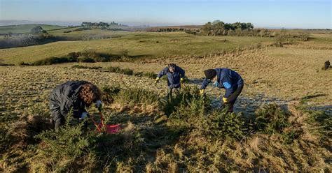 Volunteer Day