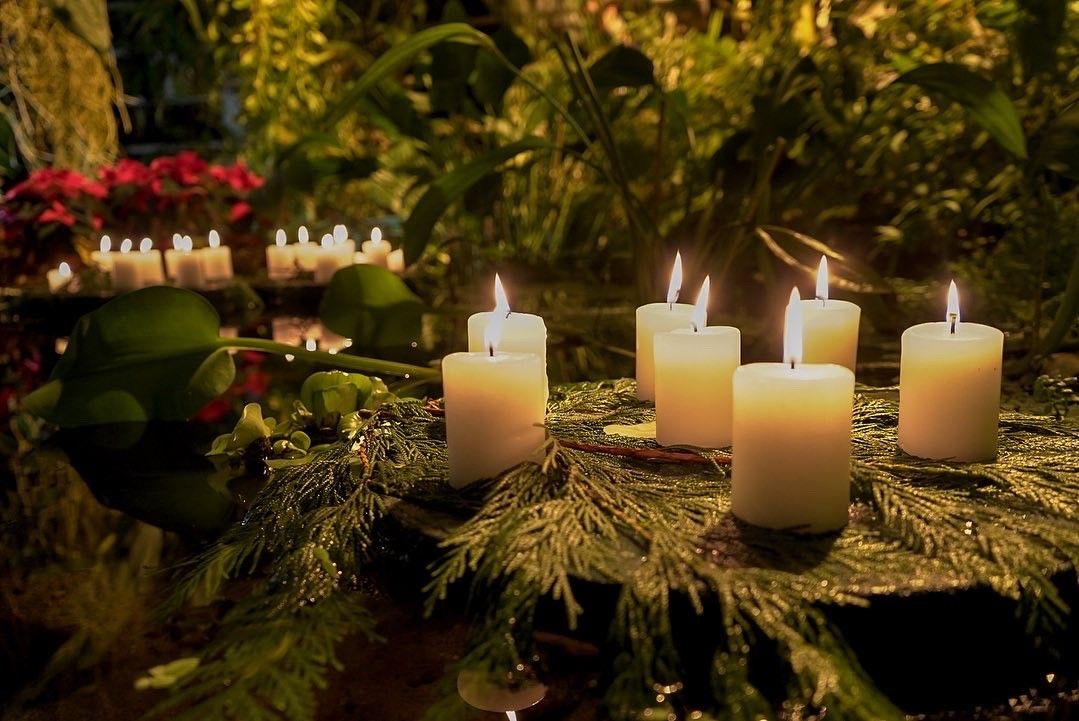 Kynttil\u00e4ilta kasvitieteellisell\u00e4 puutarhalla \/ Candlelight evening at the Botanic garden