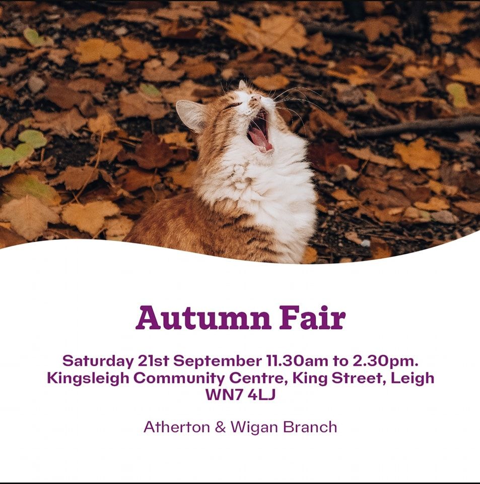 Fundraising stall at the Cats Protection Autumn Fair