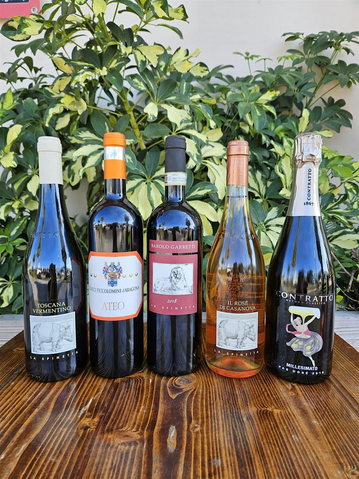 Experience Authentic Italian Wine Tasting at Happy Wine Calle Ocho