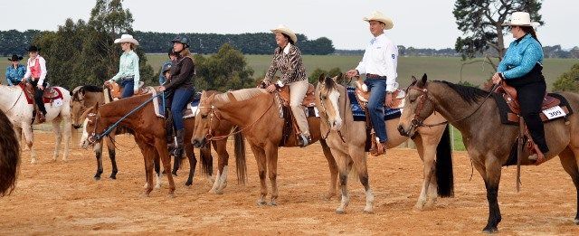 Victorian QH State Show