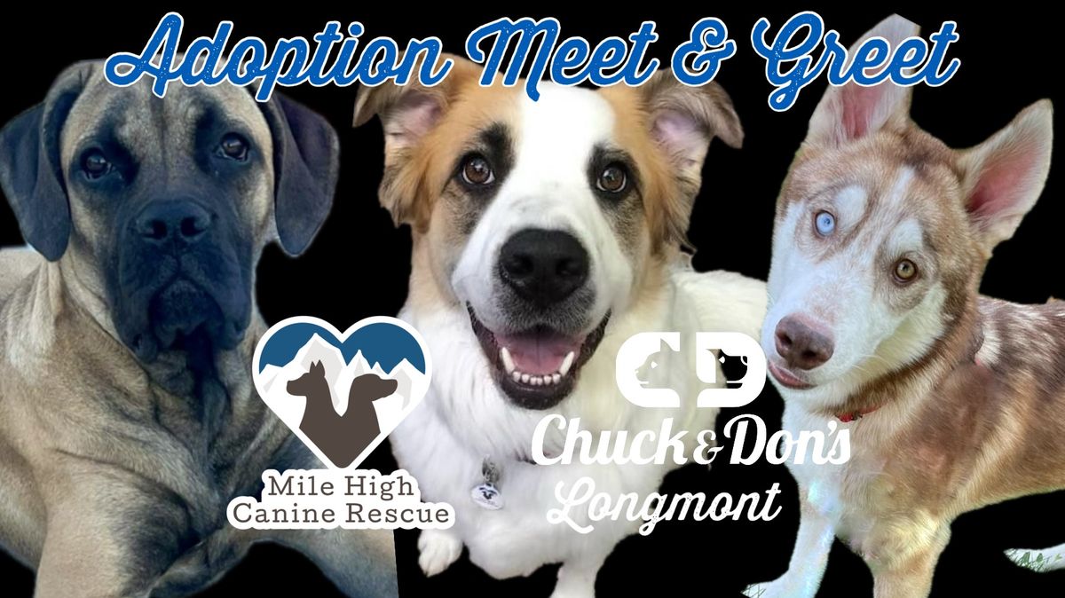 Adoption Event - Longmont