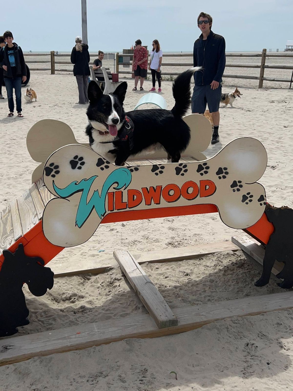 September Meet (Wildwood Dog Park\/Beach)