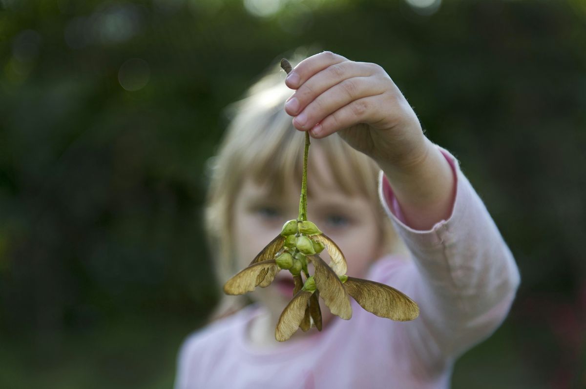 Summer Family Fun at Tyland Barn: Plants and Flowers