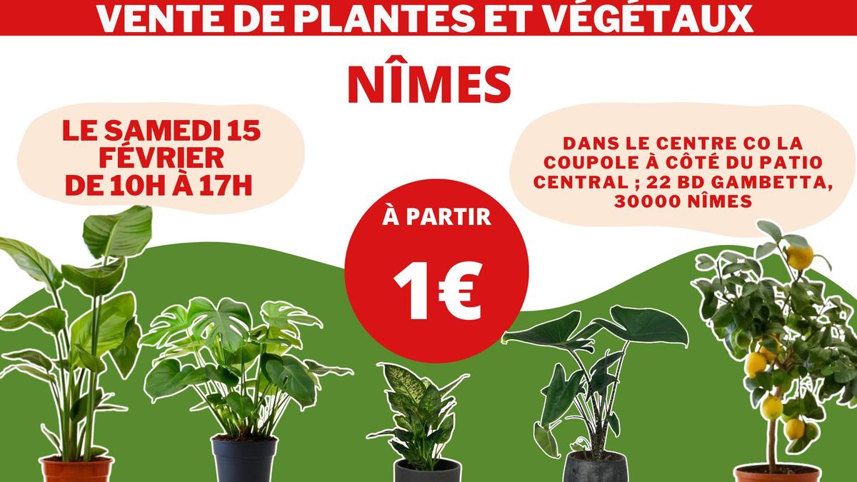 N\u00ceMES - V\u00e9g\u00e9taux et Plantes \u00e0 partir de 1\u20ac by Plantes Addict