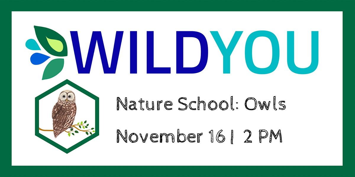 Nature School: Owls