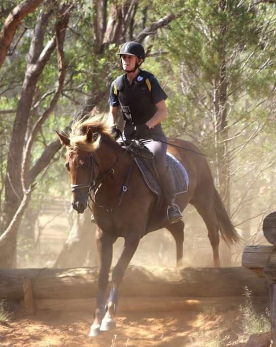 SUMMER (December) Cross Country Training Day @ Watagan Pony Club