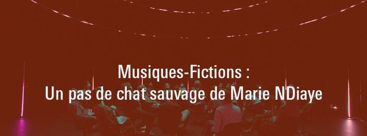 Musiques Fictions Un Pas De Chat Sauvage De Marie Ndiaye Centre Pompidou Les Lilas 25 June 21