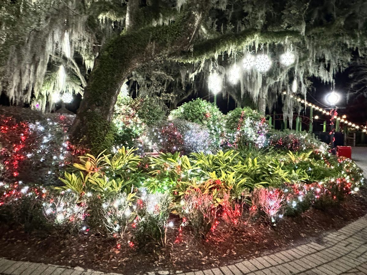 Jingle Bells New Orleans History and Beer Walking Special Event