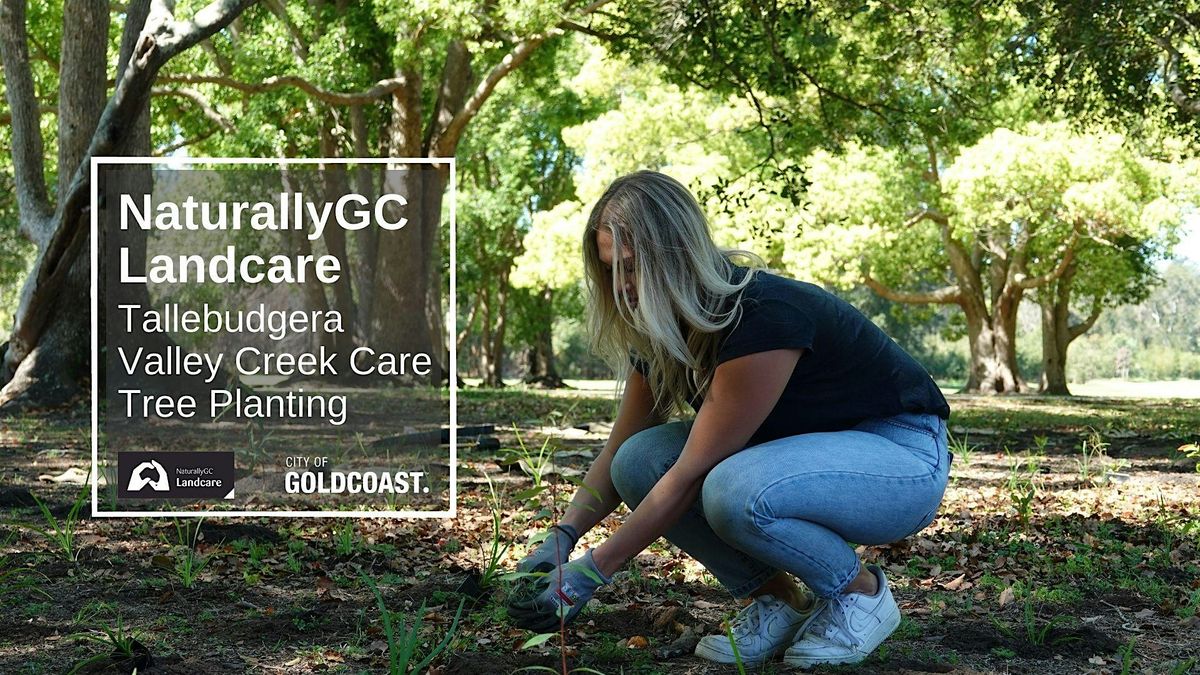 NaturallyGC: Tallebudgera Valley Creek  Care Tree Planting