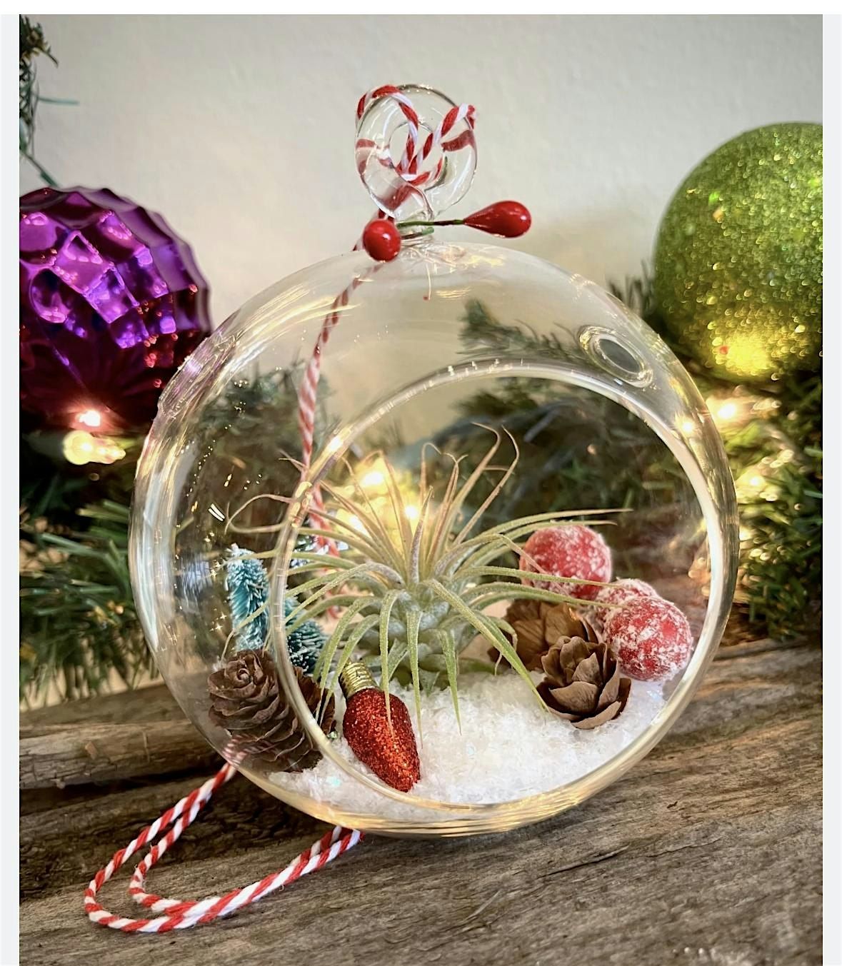 Air Plant Holiday Ornaments