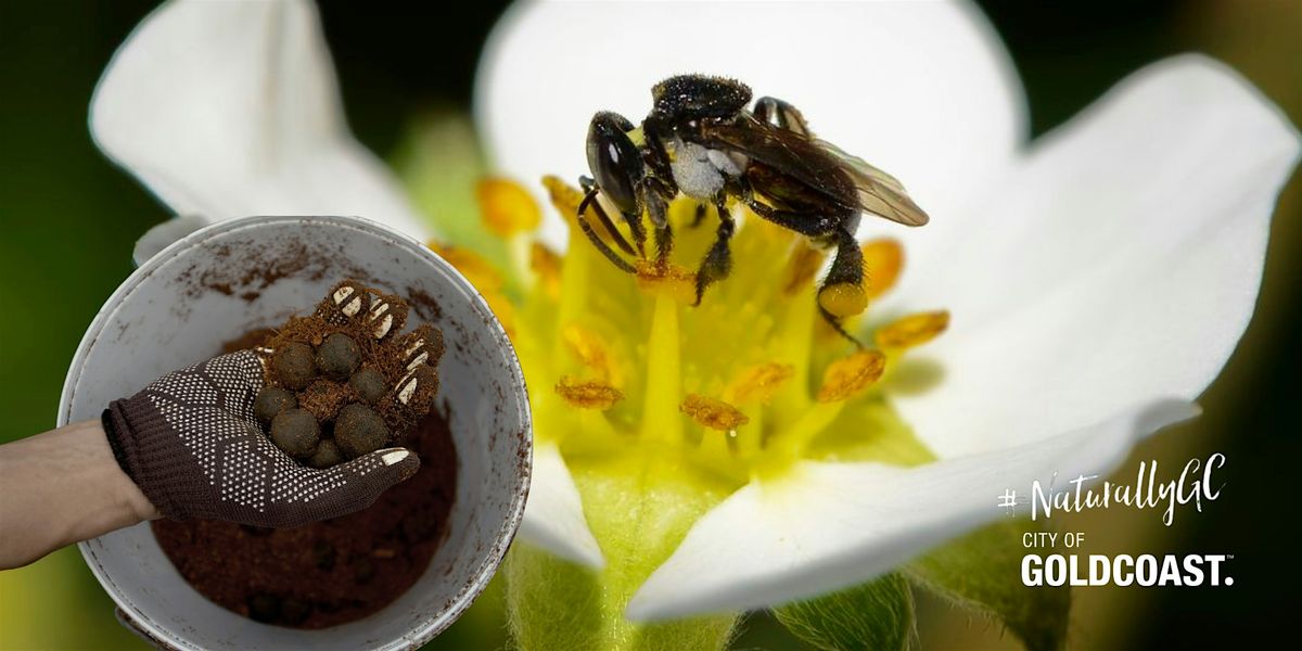 NaturallyGC Kids - Native Pollinators: Seed Balls