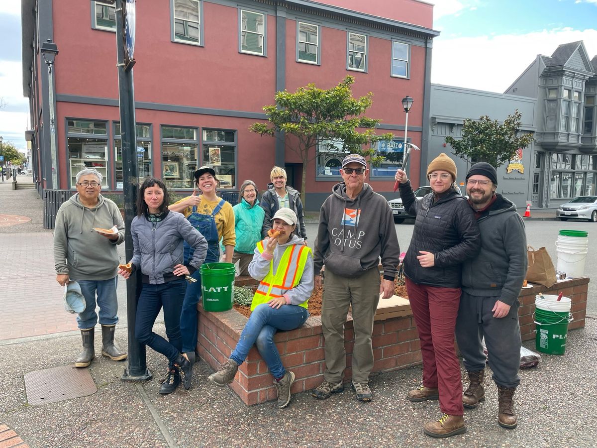 Old Town Volunteer Beautification 