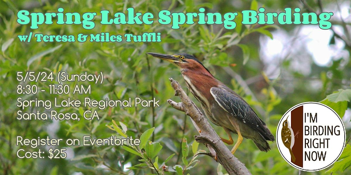 Spring Lake Spring Birding