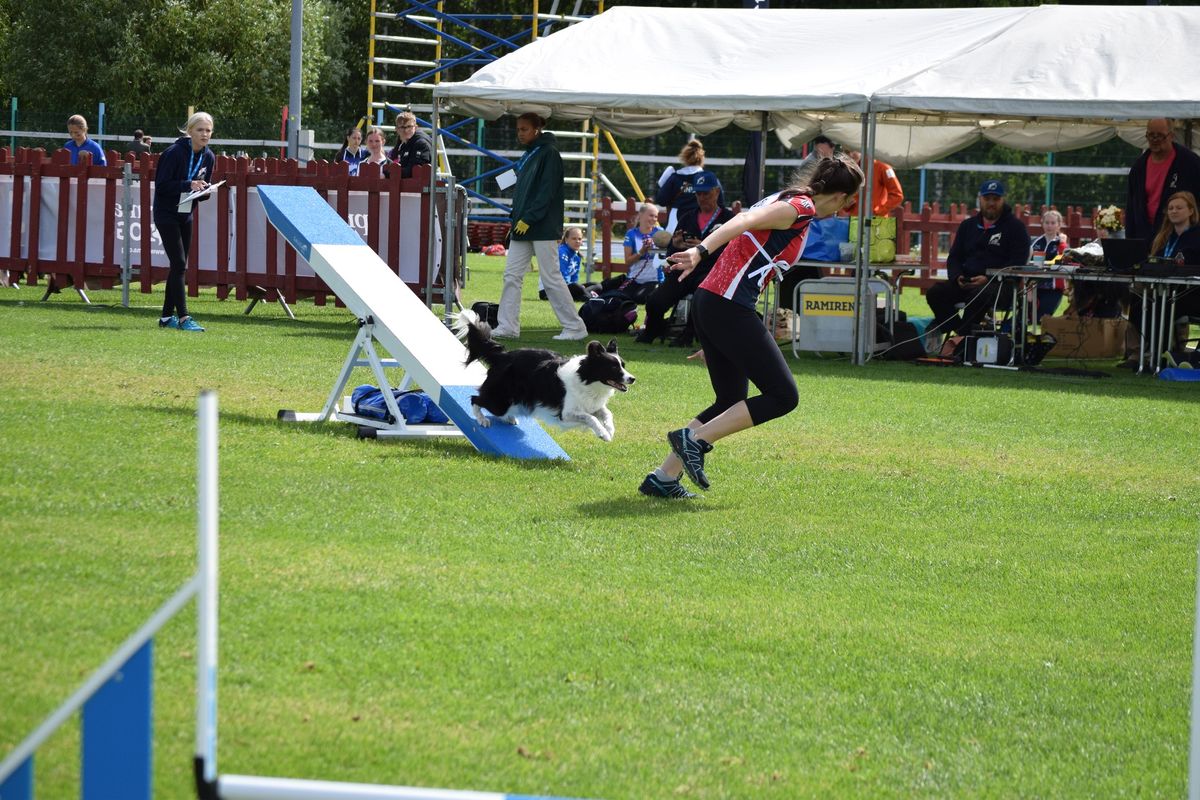 UKI Agility Trial! 