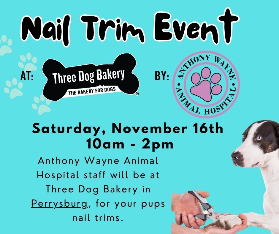 Nail Trim Event with Anthony Wayne Animal Hospital 