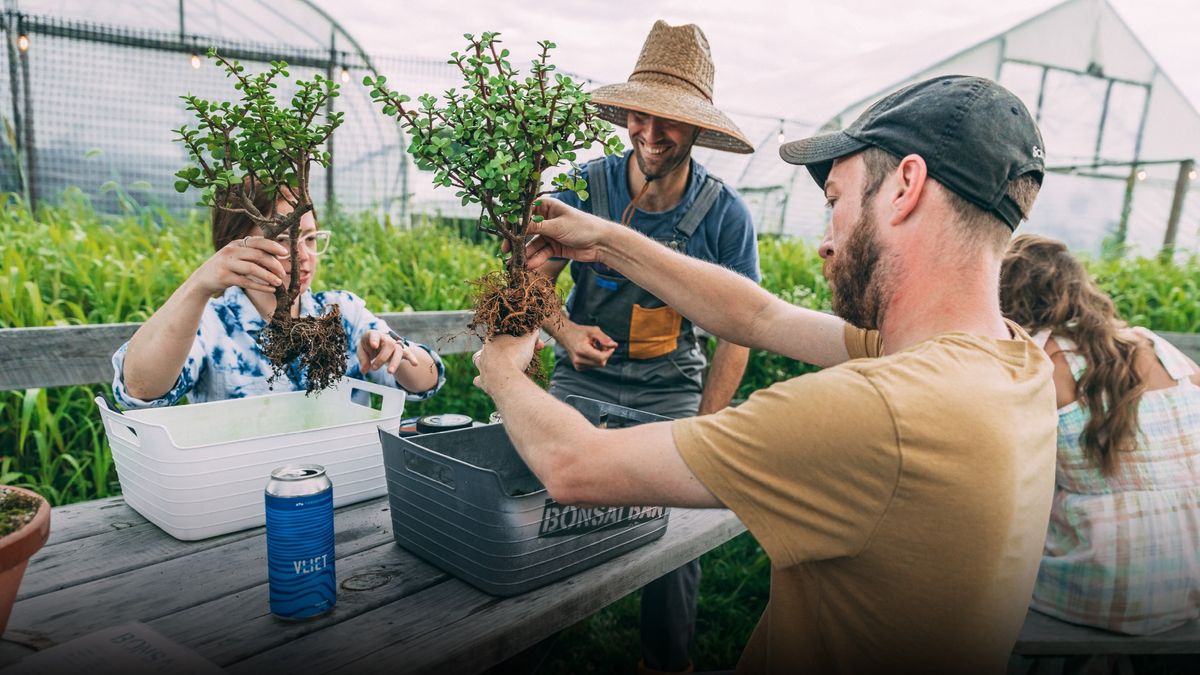 Bonsai Bar @ Resurgence in the Park