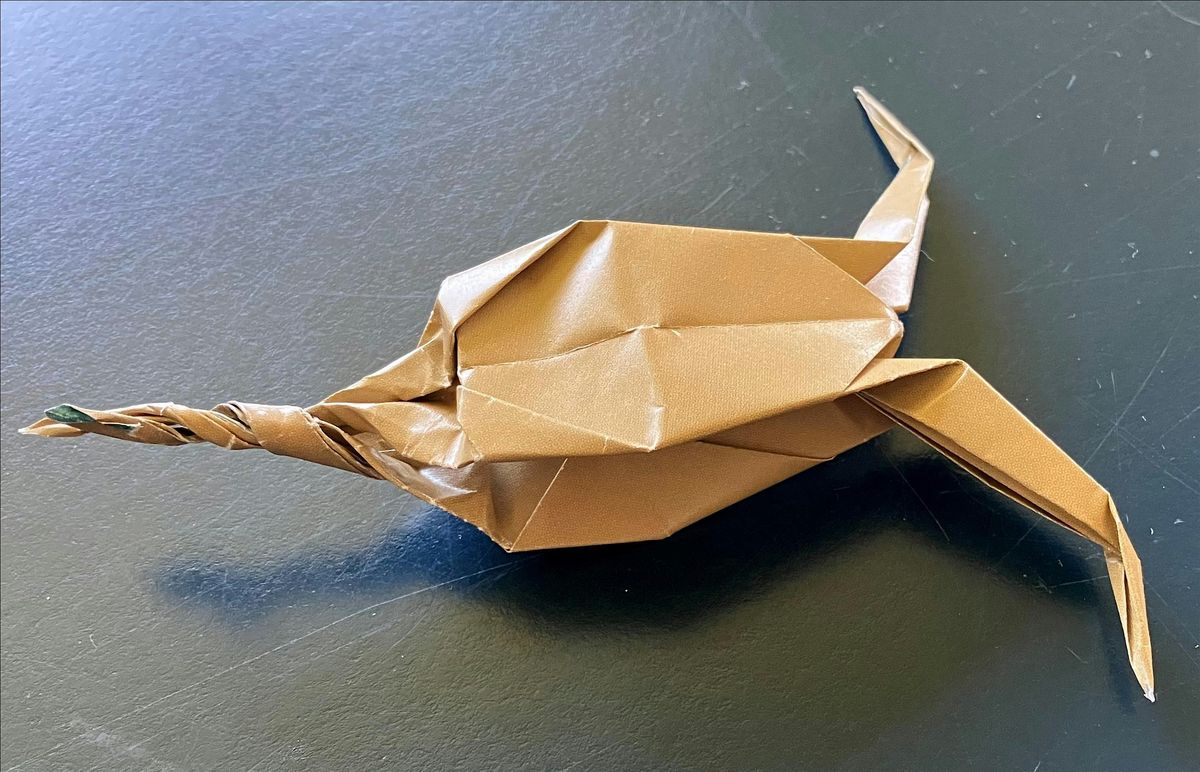 Salmon Origami