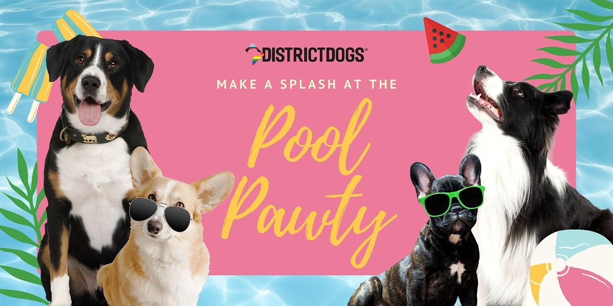 District Dogs Pool Pawty