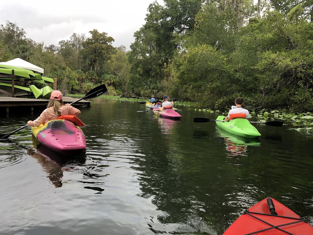 October Eco Paddle - Wekiva River