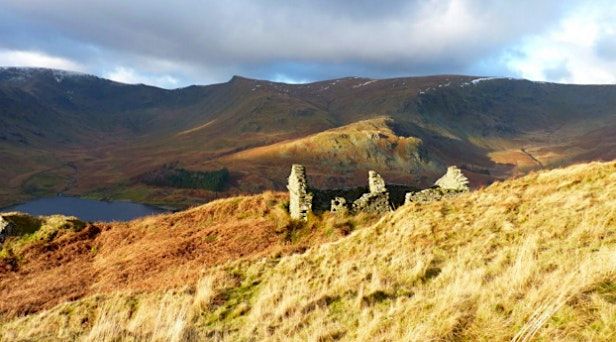 Farming and rewilding for nature in the Yorkshire Dales and Cumbria