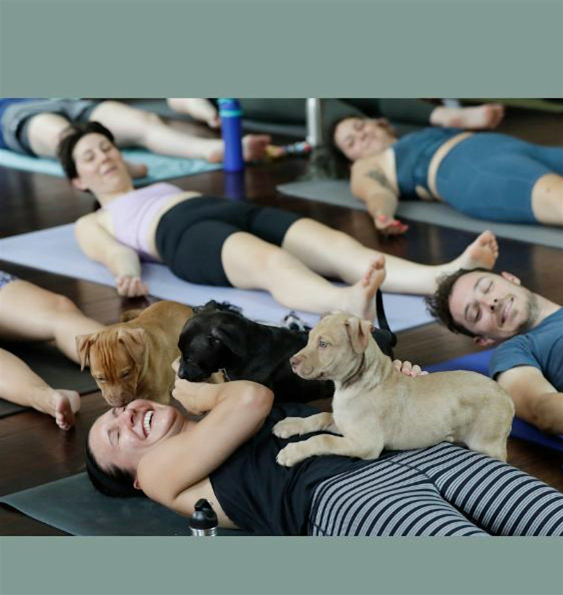 Saved By Fate Dog Rescue Presents: Love Litter Puppy Yoga