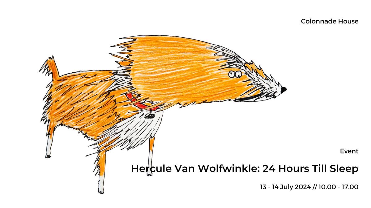 Hercule Van Wolfwinkle: 24 Hours Till Sleep