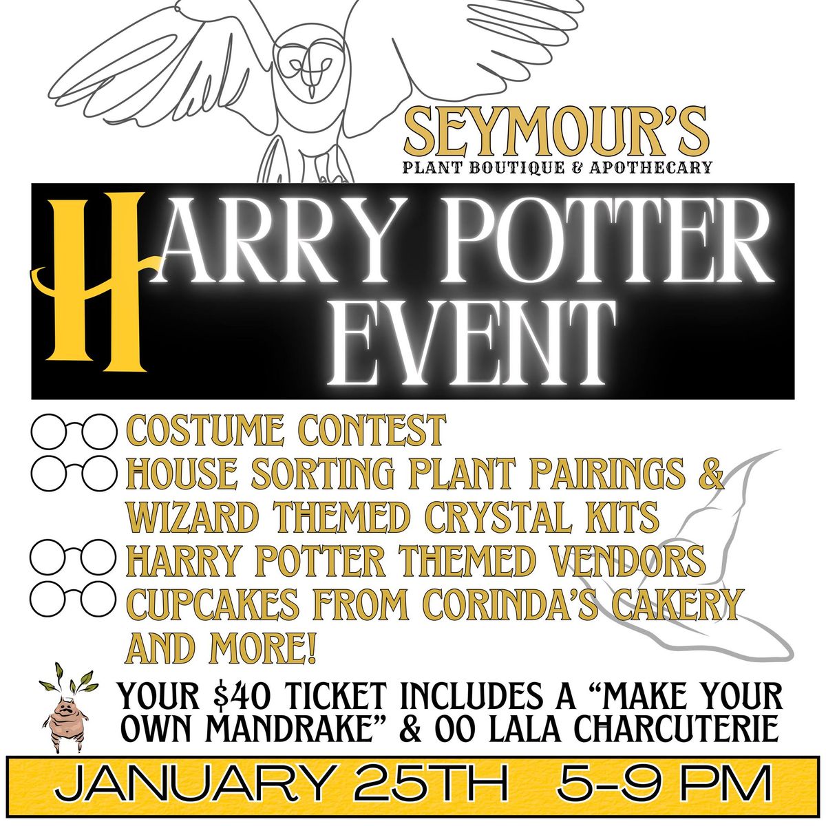 Harry Potter Wizarding Wonders at Seymour's