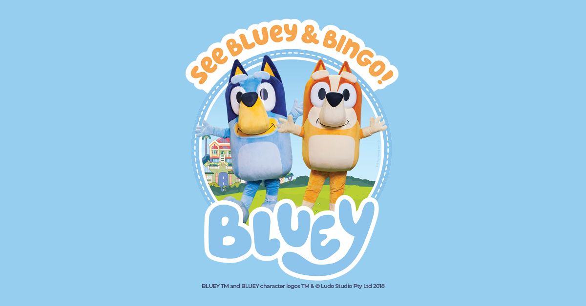 Bluey Family Funday