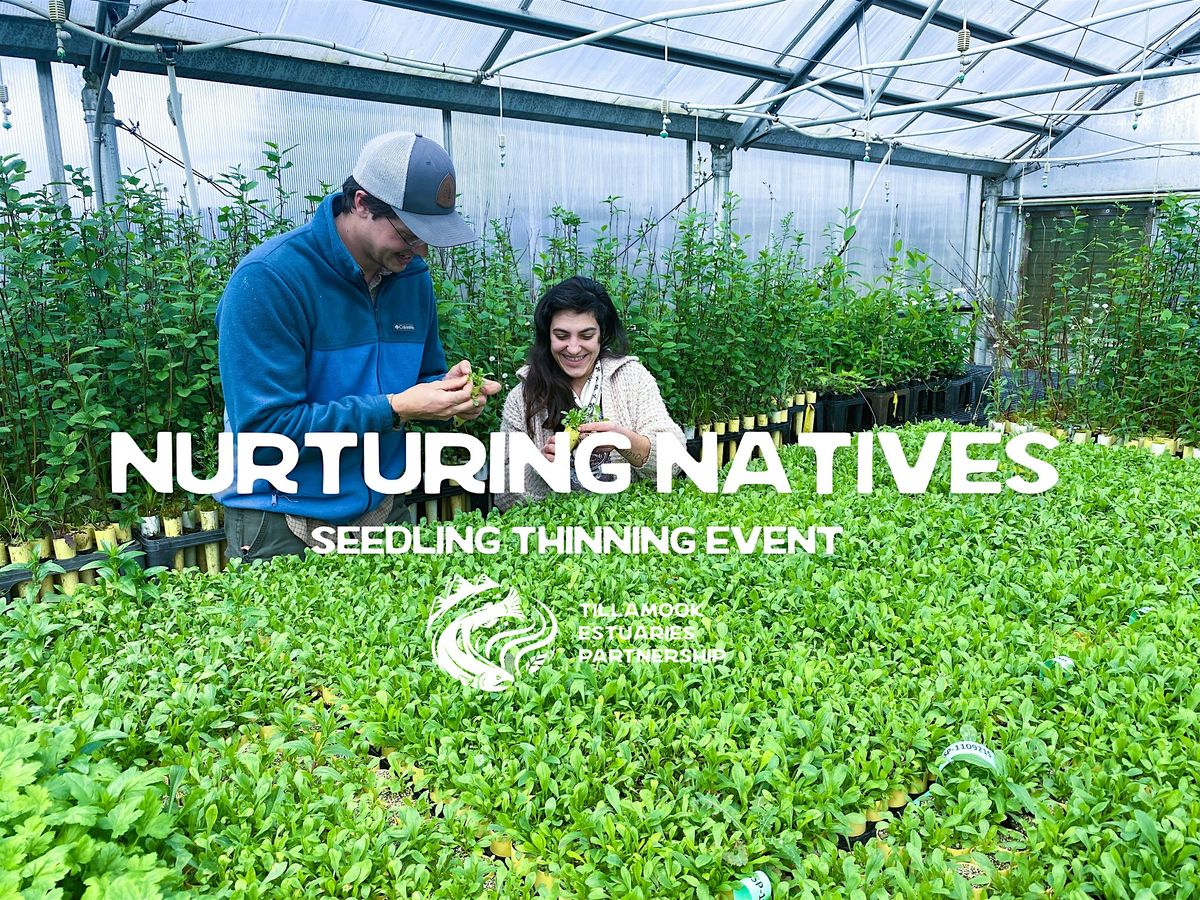 Nurturing Natives Seedling Thinning