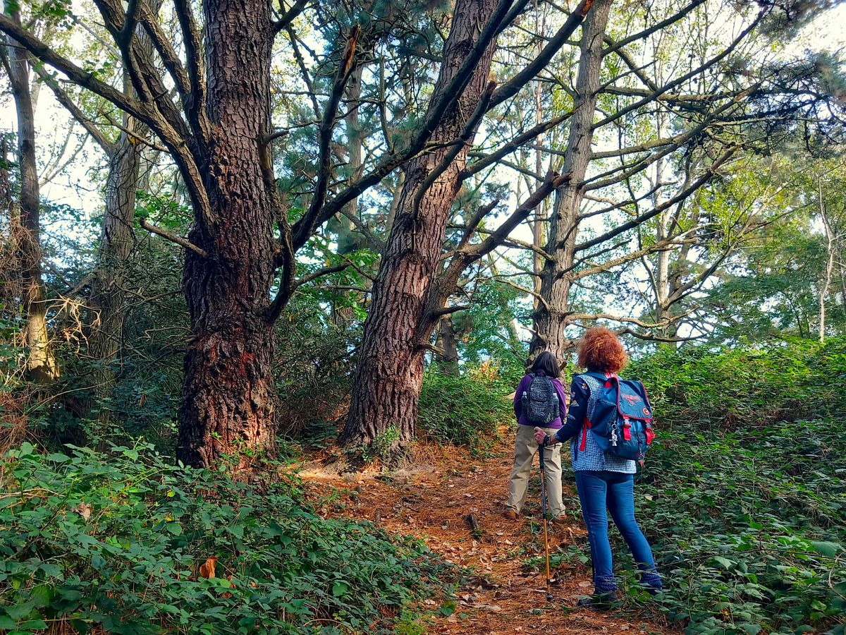 Autumn Nature Spotting at Turlin Moor Recreation Ground