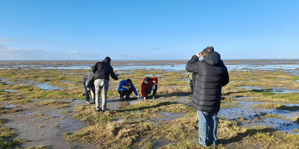 Seashore Search at Hoylake - Booking Essential