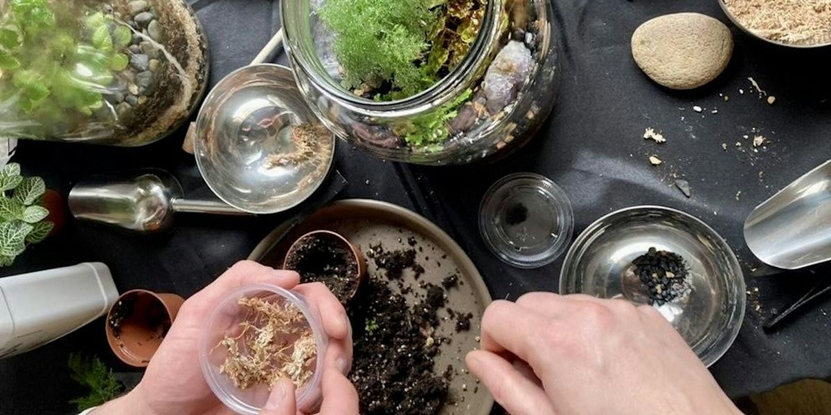 One Gallon BioActive Terrarium Workshop: Friday May 5th , 6-8pm