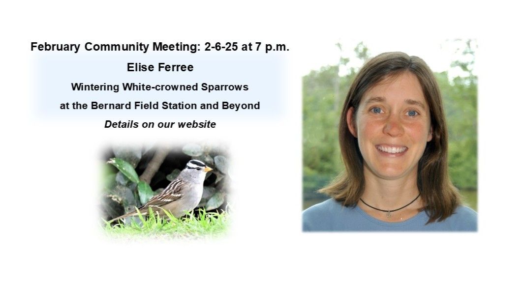 February Community Meeting feturing Elise Ferree speaking on Wintering White-crowned Sparrows