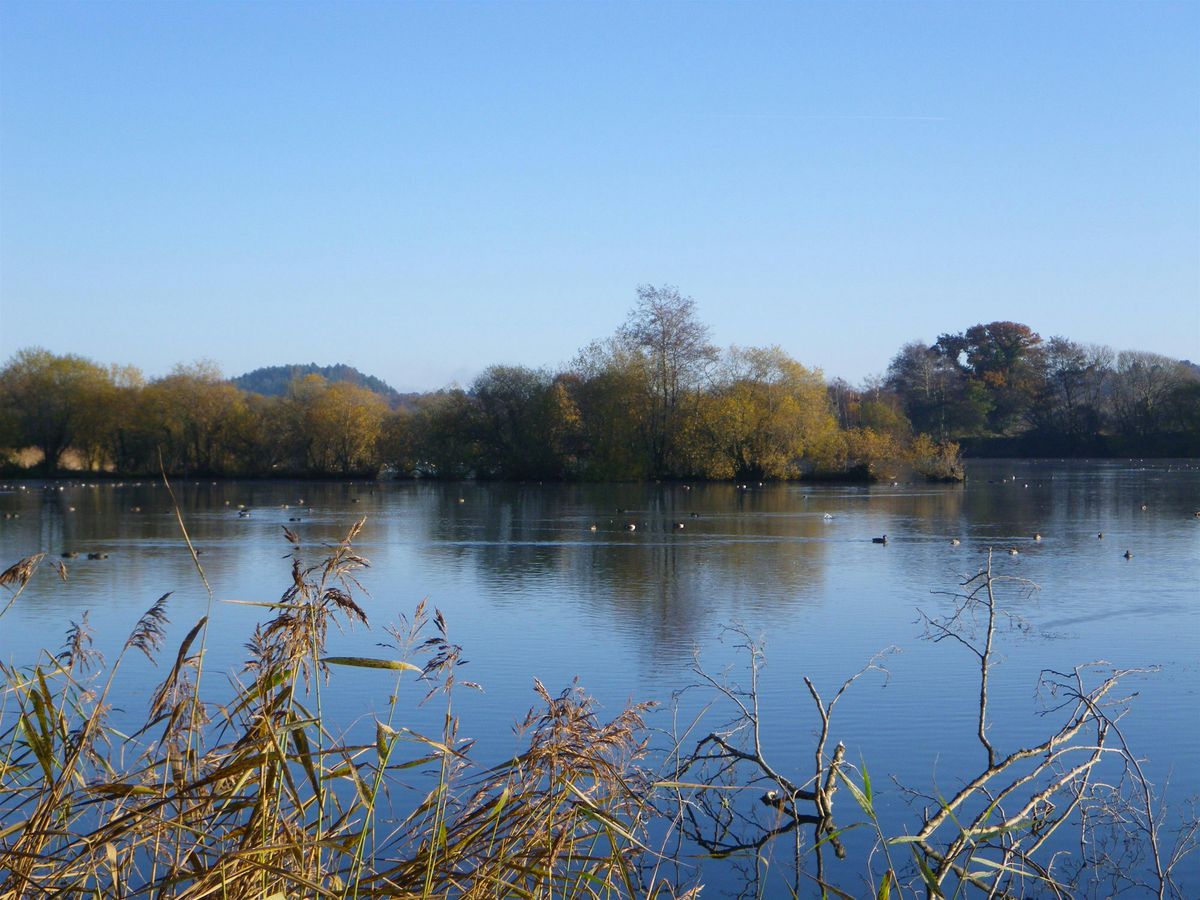 Blashford Lakes  Wildlife Tots